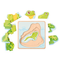 Životné cykly - Puzzle Žaba